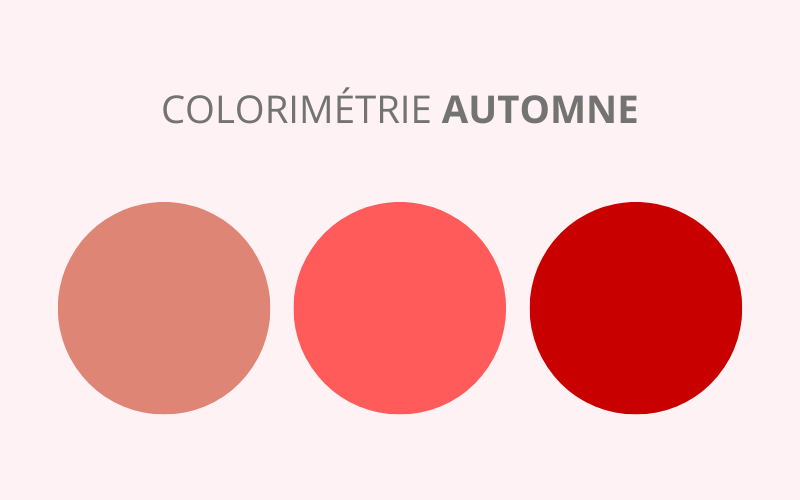 colorimetrie automne